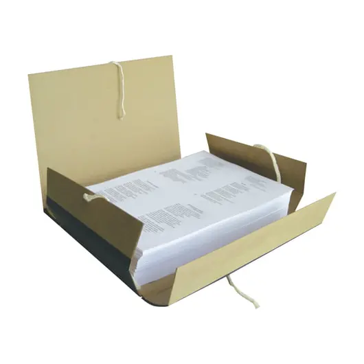 Папка для бумаг архивная А4 (225х310 мм), 80 мм, 4 завязки, крафт, корешок - бумвинил, 123203, фото 2