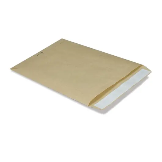 Конверт-пакет В4 плоский (250х353 мм) до 140 листов, крафт-бумага, отрывная полоса, 380090, фото 1