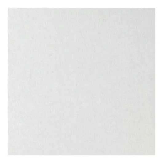 Картон белый БОЛЬШОГО ФОРМАТА, А2 МЕЛОВАННЫЙ (глянцевый), 10 листов, в папке, BRAUBERG, 400х590 мм, 124764, фото 5