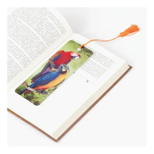 Закладка для книг 3D, BRAUBERG, объемная, &quot;Попугаи&quot;, с декоративным шнурком-завязкой, 125772, фото 4