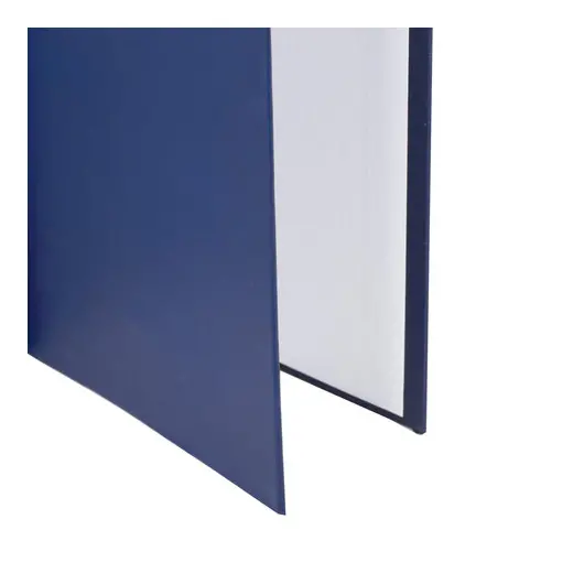 Папка-обложка для дипломного проекта STAFF, А4, 215х305 мм, фольга, 3 отверстия под дырокол, шнур, синяя, 127210, фото 7
