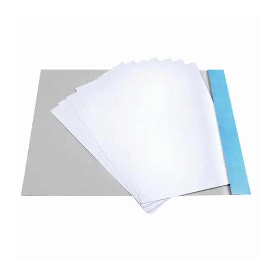 Картон белый А4 немелованный (матовый), 8 листов, в папке, ПИФАГОР, 200х290 мм, &quot;Мишка на сноуборде&quot;, 129904, фото 2