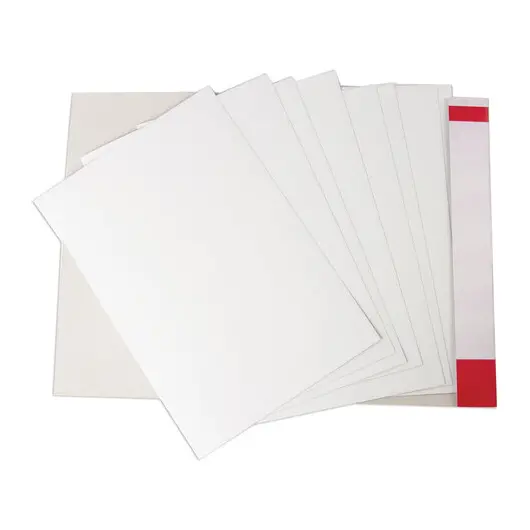 Картон белый А4 немелованный (матовый), 8 листов, в папке, BRAUBERG, 200х290 мм, &quot;Барсик 1&quot;, 129902, фото 2