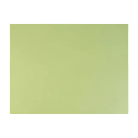Бумага для пастели (1 лист) FABRIANO Tiziano А2+ (500х650 мм), 160 г/м2, салатовый теплый, 52551011, фото 1