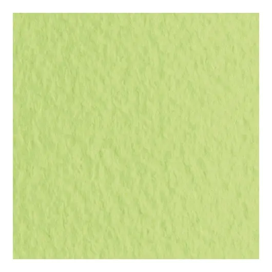 Бумага для пастели (1 лист) FABRIANO Tiziano А2+ (500х650 мм), 160 г/м2, салатовый теплый, 52551011, фото 3