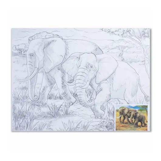 Холст на картоне с контуром BRAUBERG ART &quot;CLASSIC&quot;, &quot;Слоны&quot;, 30х40 см, грунтованный, 100% хлопок, 190631, фото 1