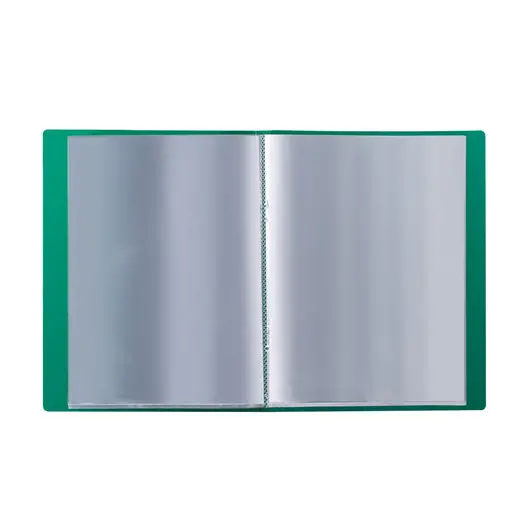 Папка 20 вкладышей BRAUBERG стандарт, зеленая, 0,6 мм, 221593, фото 3