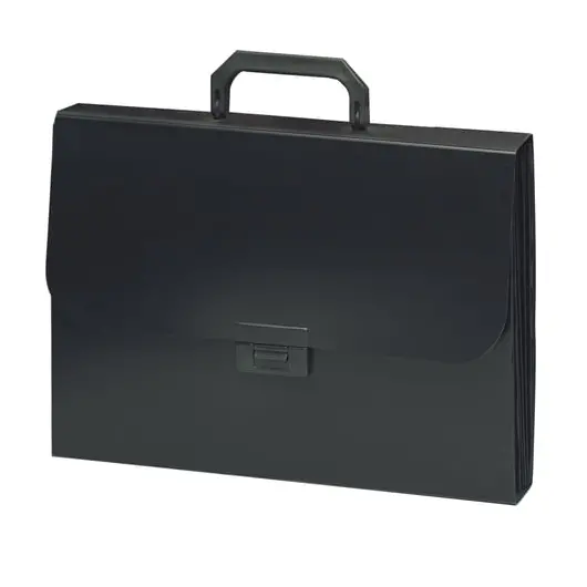 Портфель пластиковый BRAUBERG &quot;Energy&quot;, А4 (330х256х32 мм), 6 отделений, индексные ярлыки, черный, 221204, фото 2