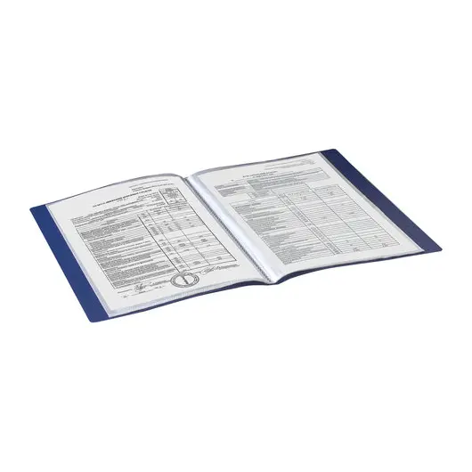 Папка 20 вкладышей BRAUBERG стандарт, синяя, 0,6 мм, 221595, фото 7
