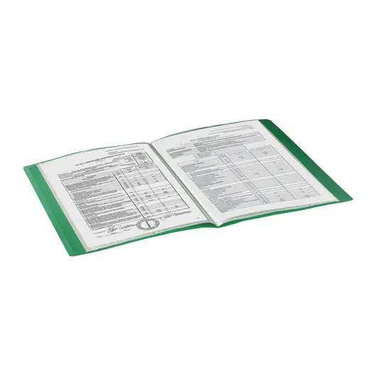 Папка 10 вкладышей BRAUBERG стандарт, зеленая, 0,5 мм, 221589, фото 7