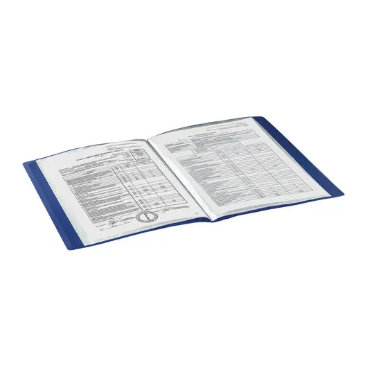 Папка 10 вкладышей BRAUBERG стандарт, синяя, 0,5 мм, 221591, фото 7