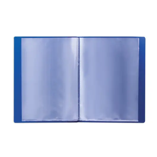 Папка 20 вкладышей BRAUBERG стандарт, синяя, 0,6 мм, 221595, фото 3
