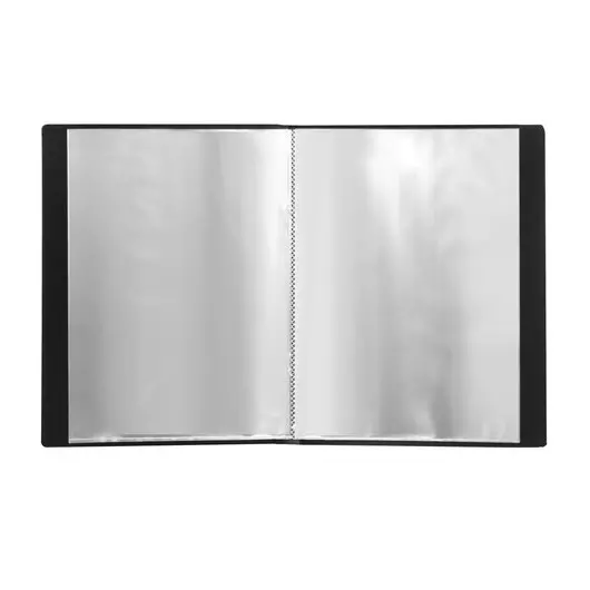 Папка 20 вкладышей BRAUBERG стандарт, черная, 0,6 мм, 221596, фото 3