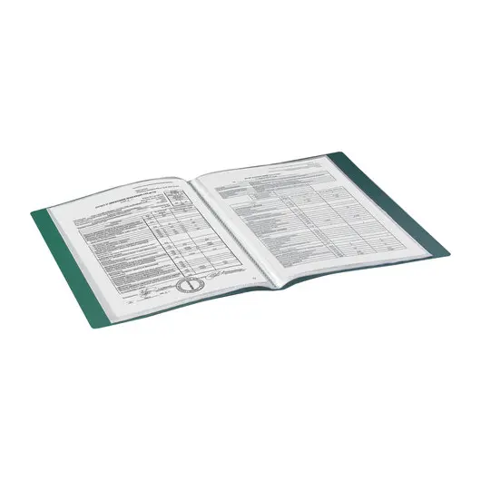 Папка 20 вкладышей BRAUBERG стандарт, зеленая, 0,6 мм, 221593, фото 7
