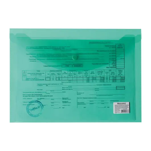 Папка-конверт с кнопкой BRAUBERG, А4, до 100 листов, прозрачная, зеленая, 0,15 мм, 221635, фото 7