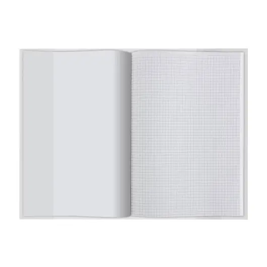 Обложка ПП для учебника и тетради, А4, STAFF/ПИФАГОР, универсальная, плотная, 300х590 мм, 223076, фото 2