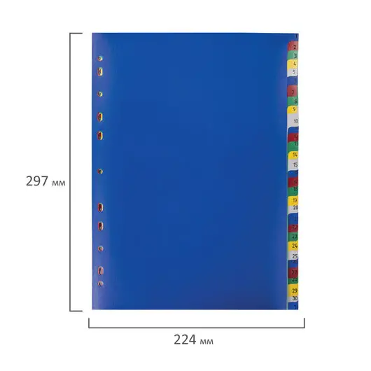 Разделитель пластиковый ОФИСМАГ, А4, 31 лист, цифровой 1-31, оглавление, цветной, 225618, фото 6