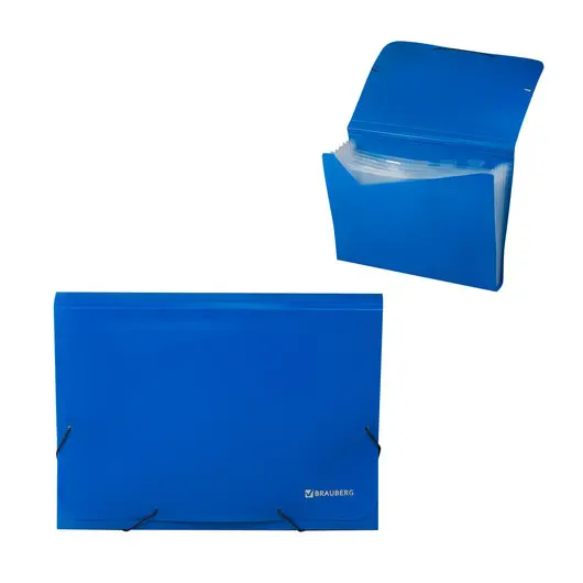 Папка на резинках BRAUBERG, А4, 7 отделений, пластиковые индексы, синяя, 226017, фото 1