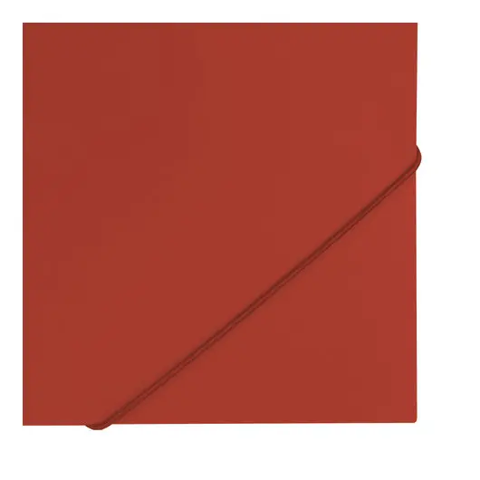 Папка на резинках BRAUBERG &quot;Office&quot;, красная, до 300 листов, 500 мкм, 227711, фото 5