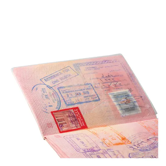 Обложка для листа паспорта, 128х87 мм, ПВХ, прозрачная, ДПС, 1361.К, фото 3