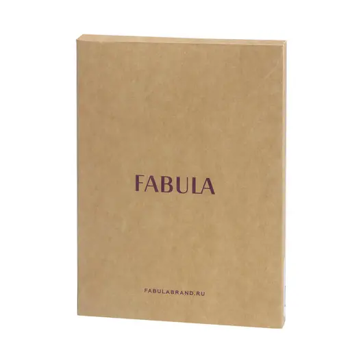 Бумажник водителя FABULA &quot;Brooklyn&quot;, натуральная кожа, отстрочка, 6 пластиковых карманов, черный, BV.8.BR, фото 3