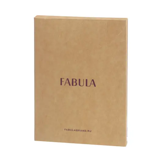 Обложка для паспорта FABULA &quot;Brooklyn&quot;, натуральная кожа, контрастная отстрочка, черная, О.81.BR, фото 3
