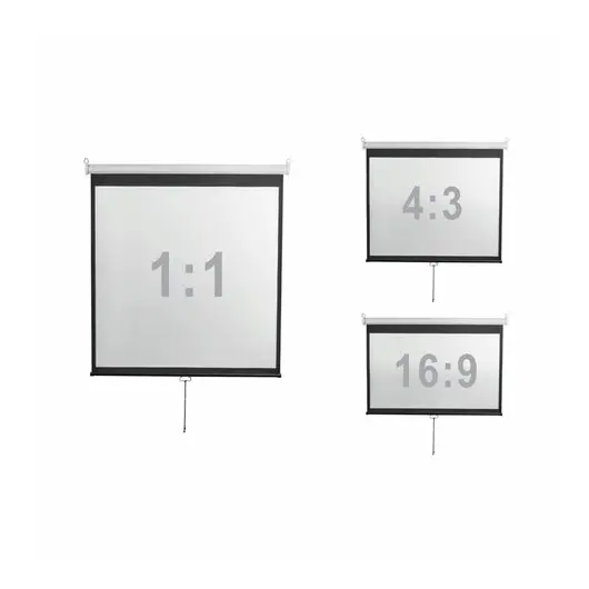 Экран проекционный настенный 112&quot; (206x209 см), электропривод, 1:1, DIGIS OPTIMAL-D, DSOD-1105, фото 4