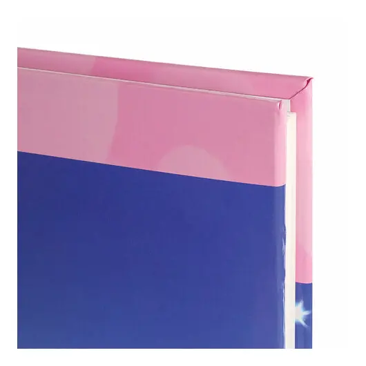 Фотоальбом BRAUBERG на 20 магнитных листов, 23х28 см, &quot;Дивный луг&quot;, розовый, 390686, фото 4