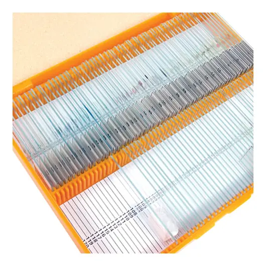 Набор готовых микропрепаратов LEVENHUK N80 NG (80 образцов, стекла), 29280, фото 1