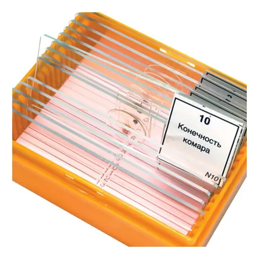 Набор готовых микропрепаратов LEVENHUK N10 NG (10 образцов, стекла), 29279, фото 2