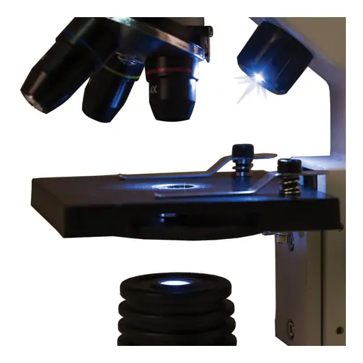 Микроскоп учебный LEVENHUK Rainbow 2L, 40-400 кратный, монокулярный, 3 объектива, 69035, фото 7