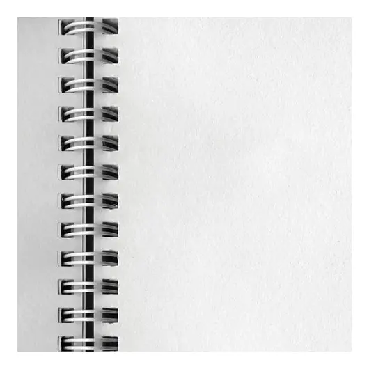 Скетчбук, белая бумага 100 г/м2, 175х205 мм, 80 л., гребень, &quot;Италия&quot;, (A257715), фото 4