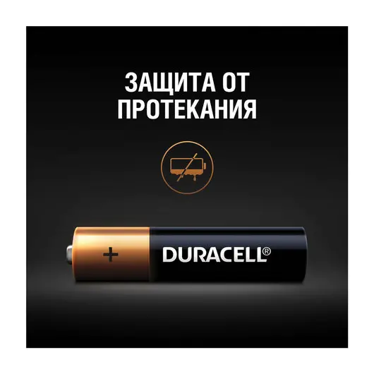 Батарейки DURACELL Basic, AAA (LR03, 24А), алкалиновые, КОМПЛЕКТ 2 шт., в блистере, фото 4