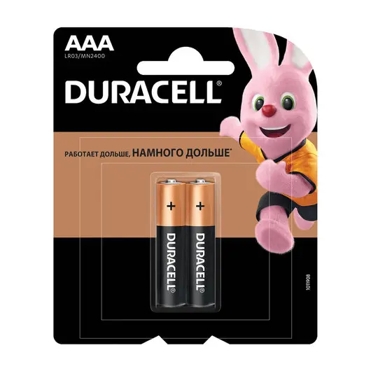 Батарейки DURACELL Basic, AAA (LR03, 24А), алкалиновые, КОМПЛЕКТ 2 шт., в блистере, фото 1