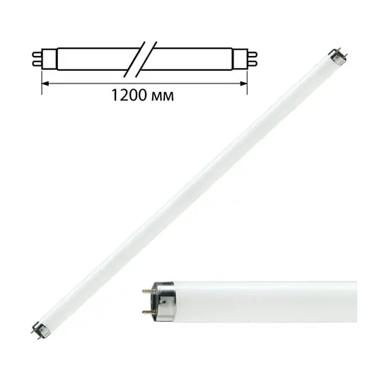 Лампа люминесцентная PHILIPS TL-D 36W/33-640, 36 Вт, цоколь G13, в виде трубки 120 см, фото 1