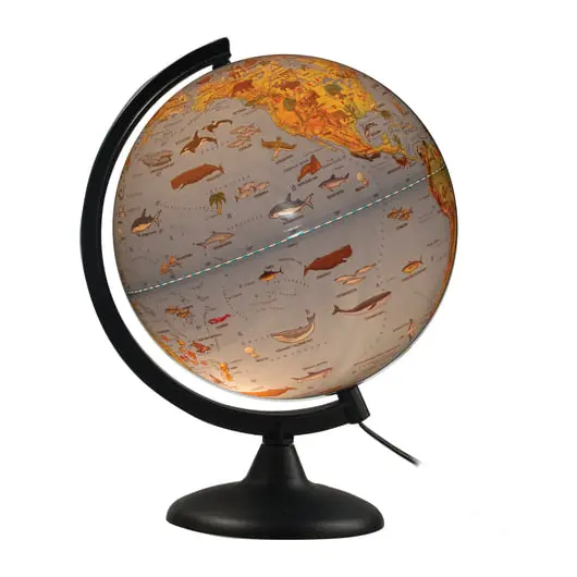 Глобус зоогеографический, диаметр 250 мм, с подсветкой, 10370, фото 2