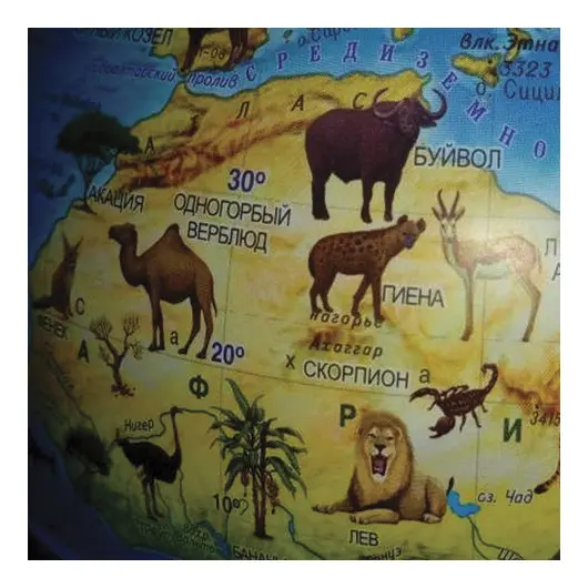 Глобус зоогеографический GLOBEN &quot;Классик Евро&quot;, диаметр 250 мм, детский, Ке012500269, фото 2