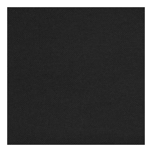 Стул для посетителей &quot;Серна&quot;, черный каркас, ткань черная, СМ 7/22 Т-11, фото 4