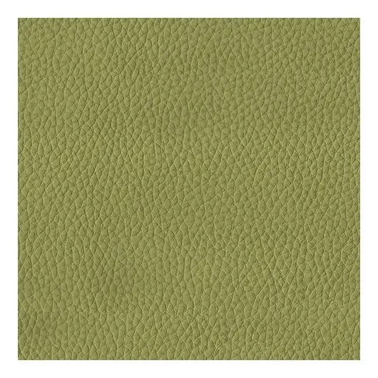 Диван мягкий двухместный &quot;Норд&quot;, V-700 (1280х720х730 мм), c подлокотниками, экокожа, светло-зеленый, фото 3