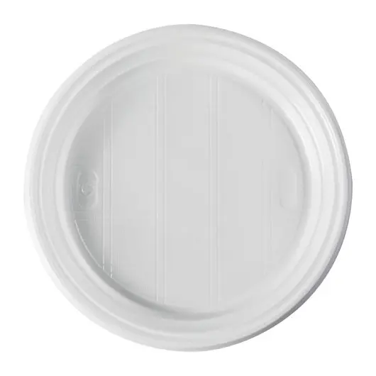 Одноразовые тарелки плоские, КОМПЛЕКТ 100 шт., d = 205 мм, ЭКОНОМ, белые, полистирол (ПС), СТИРОЛПЛАСТ, фото 1