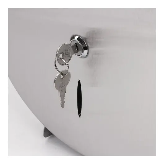 Диспенсер для туалетной бумаги LAIMA PROFESSIONAL INOX, (Система T2), нержавеющая сталь, матовый, 605698, фото 6
