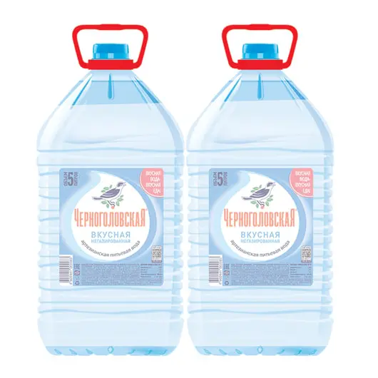 Вода негазированная питьевая &quot;ЧЕРНОГОЛОВСКАЯ&quot;, 5 л, пластиковая бутылка, фото 2