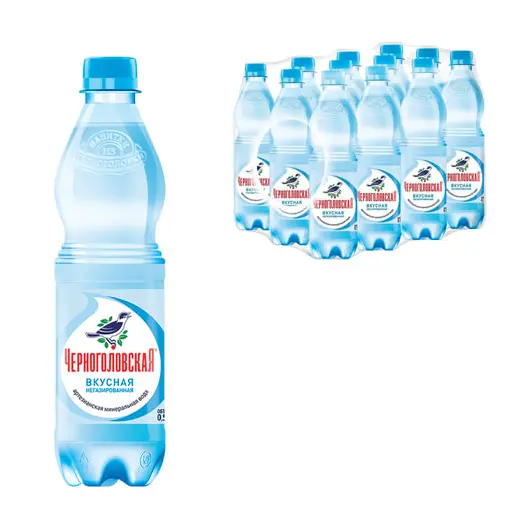Вода негазированная минеральная &quot;ЧЕРНОГОЛОВСКАЯ&quot;, 0,5 л, пластиковая бутылка, фото 1