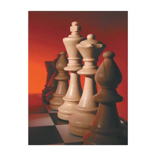 Шахматы. Уроки лучшей игры - самый полный самоучитель. Играй лучше, чем папа!, 000000000718831, фото 3