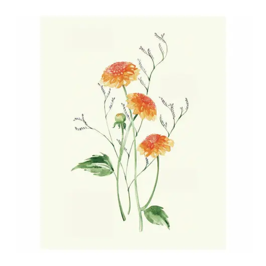 Botanical painting. Вдохновляющий курс рисования акварелью, 105550, фото 5