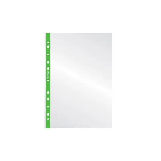 Папка-вкладыш с цветным корешком Berlingo, А4, 30мкм, глянцевая, зеленая, фото 1