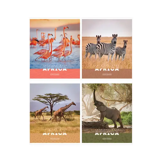 Тетрадь 48л., А5, клетка ArtSpace &quot;Животные. Nature of Africa&quot;, эконом, фото 1