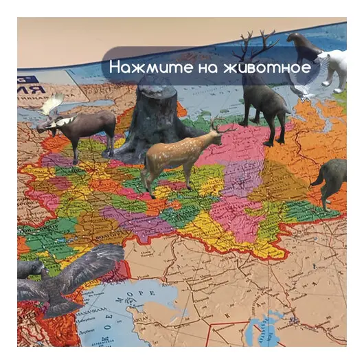 Карта России политико-административная 101х70см, 1:8,5М, интерактивная, в тубусе, BRAUBERG, 112396, фото 7