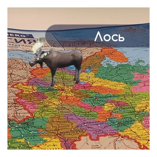 Карта России политико-административная 101х70см, 1:8,5М, интерактивная, в тубусе, BRAUBERG, 112396, фото 5