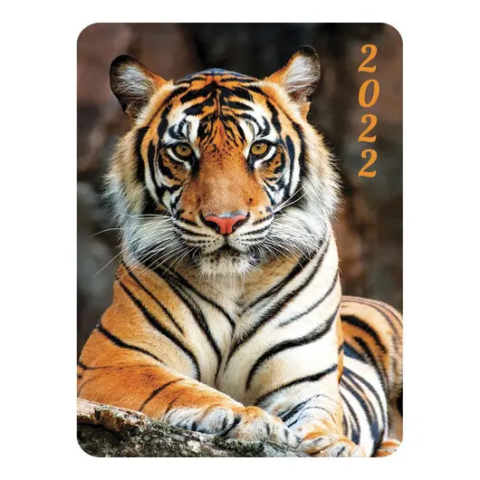 Календарь карманный на 2022 год, 70х100 мм, &quot;Год тигра&quot;, HATBER, Кк7, фото 7